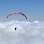 PGK_Fay_Sep2021_MF_nL